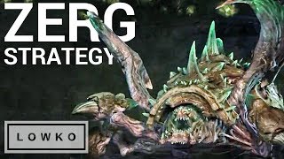 StarCraft 2 Testing A New Zerg Strategy [upl. by Averil]