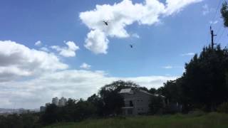 Military Helicopters Flying over Metro Manila Philippines [upl. by Atiuqan405]