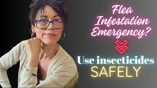 Flea Infestation Time to use traditional means the safe way [upl. by Emmott87]