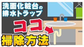 【2分でわかる】洗面化粧台トラップの掃除方法【小物を落とした時にも！排水口掃除年末大掃除】 [upl. by Aicilif]