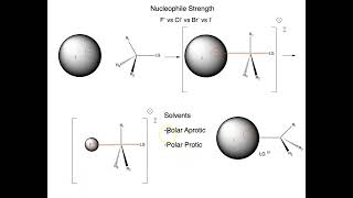 How does solvent effect the strength of the halide nucleophiles in SN1 and SN2 reactions [upl. by Ttenrag367]