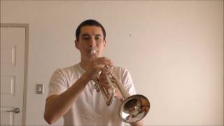 Coldplay  Hymn for the Weekend Trumpet [upl. by Vachel442]