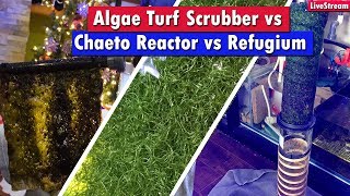 Algae Turf Scrubber Vs Chaeto Reactor Vs Refugium  Which nutrient export system is best for you [upl. by Arua]