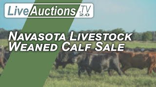 Navasota Livestock Weaned Calf Sale [upl. by Aliahs480]