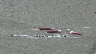 Pedestrian hit and killed in Sacramento County [upl. by Audre220]