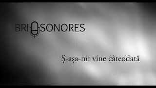 Brio Sonores  Sasami vine cateodata Cand sompartit norocu  Official Video [upl. by Doolittle]