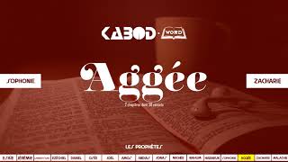 « Aggée » LAncien Testament  La Sainte Bible audio VF Complète [upl. by Nek47]