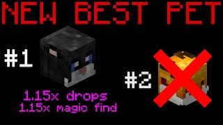 This Pet is SECRETLY OVERPOWERED Hypixel Skyblock Nerfed 1712024 [upl. by Philina]