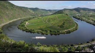 Mosel Wine harvest in Germany German Riesling in Moselle Valley Weinlese Deutschland Tourismus [upl. by Wolenik]