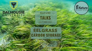 Nature Talks Community Eelgrass Restoration Initiative [upl. by Assenay]