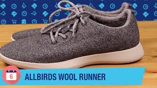 Allbirds Wool Runners Review [upl. by Attennaj]