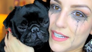 Cachorra vilma tereza de YouTuber Kefera e morta por fã [upl. by Anchie]