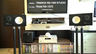 Yamaha NS10M Studio Tong Li  Spring of West Lake [upl. by Avlis]