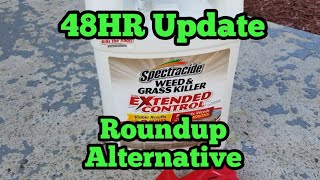 Spectracide Weed and Grass Killer 48hour Update [upl. by Innavoig519]