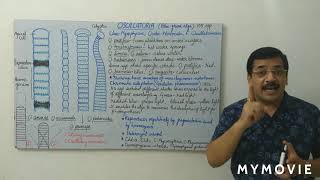 Oscillatoria amp Gaidukov phenomenon [upl. by Zennie]