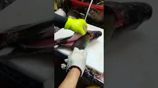 Fish fast cutting and cleaning Tilapia JalebiFish Nilotica shorts fishshorts fishcleaning [upl. by Ylirama811]