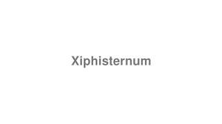 How to Pronounce quotXiphisternumquot [upl. by Elbon]