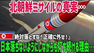 【海外の反応】「なぜ日本に落ちないのか？」北朝鮮が打ち上げるミサイルが日本に落ちない理由…正確に外しながらも打ち続ける本当のワケ…北朝鮮ミサイルの真実に迫る！【俺たちのJAPAN】 [upl. by Waylan]