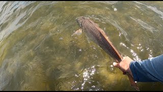 Springtime Sight Fishing Redfish and Trout in Panama City [upl. by Wales387]