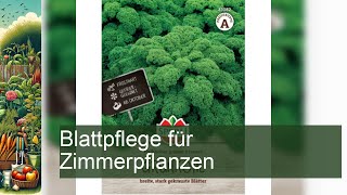 Blattpflege für Zimmerpflanzen [upl. by Innattirb]