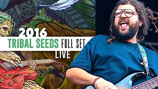 Tribal Seeds Full Set  California Roots 2016 [upl. by Alfy138]