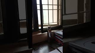 My Study space aiimsgkp neet [upl. by Peri]