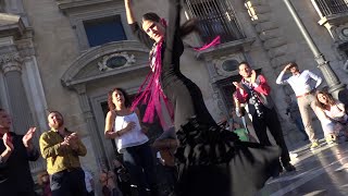 María Beautiful Flamenco dancer in Granada [upl. by Sybley818]