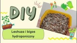 Lechuza DIY ⚡️ Mój sposób na bigos hydroponiczny 💥 gadam i gadam i gadam 😗 [upl. by Letitia]