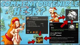 DOFUS  COMMENT OBTENIR LE NOUVEAU HURLEDENT CAMÉLEON  quot HESK quot [upl. by Enileda748]