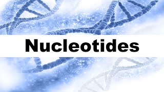 Nucleotides in DNA Short Explanation [upl. by Rosalie161]