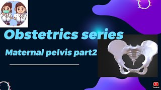 Obstetric series  Maternal pelvis part2 obstetricsandgynaecology bhms medico mbbs [upl. by Leonie]