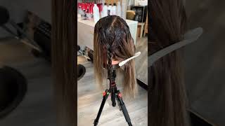 Braided Balayage Lowlight Technique  Abigail Resch Hairstylist [upl. by Audy]