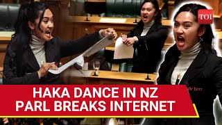 High Haka Drama In New Zealand Parliament Woman MP Tears Controversial Bill Leads Stir [upl. by Sergu]