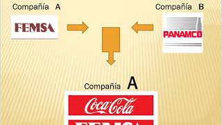 Fusión y escisión de sociedades [upl. by Elliot]