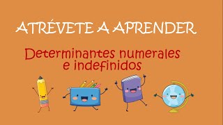 DETERMINANTES NUMERALES E INDEFINIDOS [upl. by Lay302]