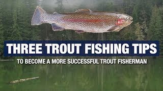 3 Advanced Trout Fishing Tips and Tricks  Become A Better Trout Fisherman [upl. by Anahc988]