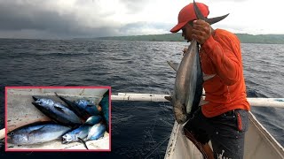 AMAZING Tuna Traditional Handline Fishing in Mindoro Philippines [upl. by Latty]