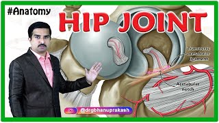 HIP Joint Anatomy Animation  Ligaments Movements Blood supply Nerve supply  USMLE Step 1 [upl. by Urban]