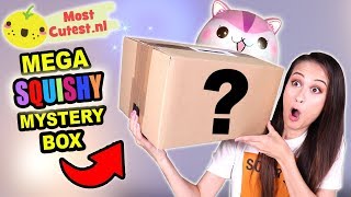 MEGA SQUISHY MYSTERY BOX OPENEN van MOSTCUTESTNL [upl. by Jodee240]