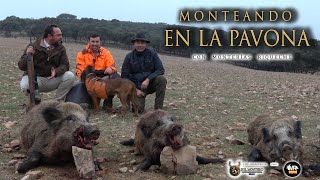 “MONTERIA LA PAVONA CON MONTERÍAS RIQUELME” En Abenojar  Ciudad Real [upl. by Iba]