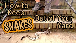 How to KEEP SNAKES OUT of Your Yard 🚫🐍 [upl. by Eilrac707]