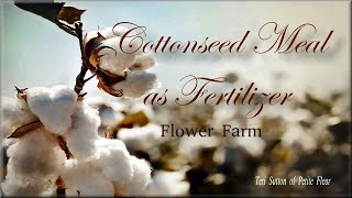 Cottonseed Meal  Plant Based Organic Fertilizer  Growing Flowers  Flower Farm [upl. by Naryb94]