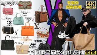 【世界冷知识】十個明星同款包包奢侈品牌 top10，感谢大家的支持，谢谢观看 明星同款 奢侈品 包包 同款 top10 明星 名牌 [upl. by Bowes]