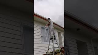 Painting Fascia boards Brush and Mini Roller fascia miniroller [upl. by Donell]