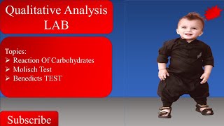 Qualitative Analysis  Reactions Of Carbohydrates  Molisch Test  benedicts Test  Bochemistry [upl. by Enilekaj412]