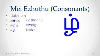 Tamilize Learn Tamil Language English medium  Lesson 03  The Consonants [upl. by Schafer]