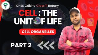 Cell The Unit of Life Class 11 in Odia  Chapter 8 Cell Organelles  Lecture 2 [upl. by Conrado]