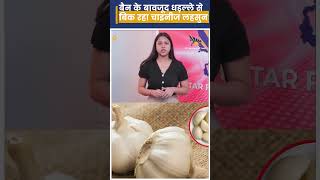 Ban के बावजूद धड़ल्ले से बिक रहा Chinese Garlic। [upl. by Nnaer]