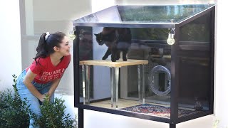 Is a stylish catio possible building a patio for our cat [upl. by Ardine]