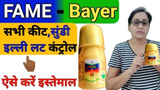 Fame insecticide  how to use fame insecticide  flubendiamide 3935sc  fame bayer technical  fame [upl. by Ithnan]